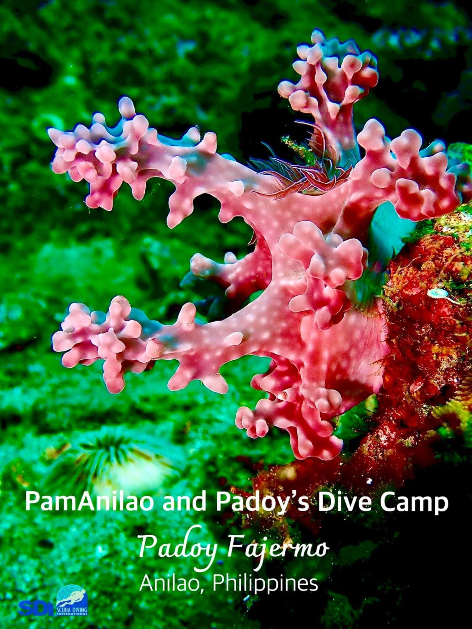 Hotel Pamanilao And Padoy'S Dive Camp Batangas Esterno foto