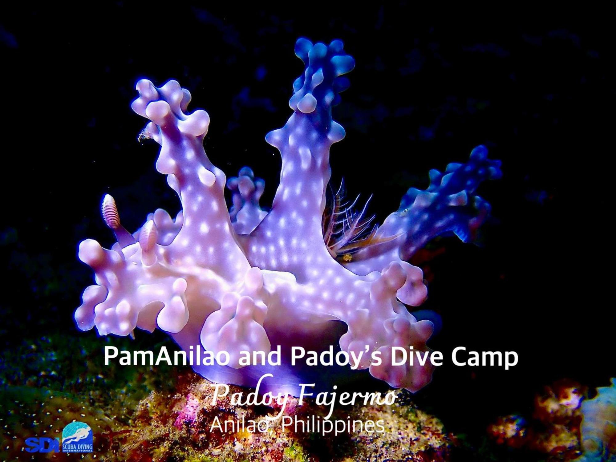 Hotel Pamanilao And Padoy'S Dive Camp Batangas Esterno foto