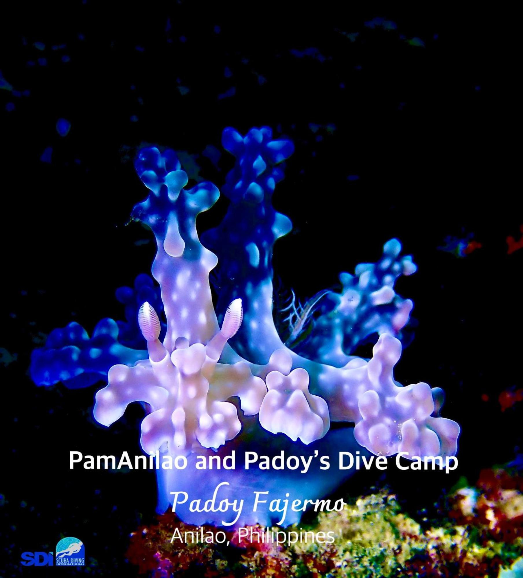 Hotel Pamanilao And Padoy'S Dive Camp Batangas Esterno foto