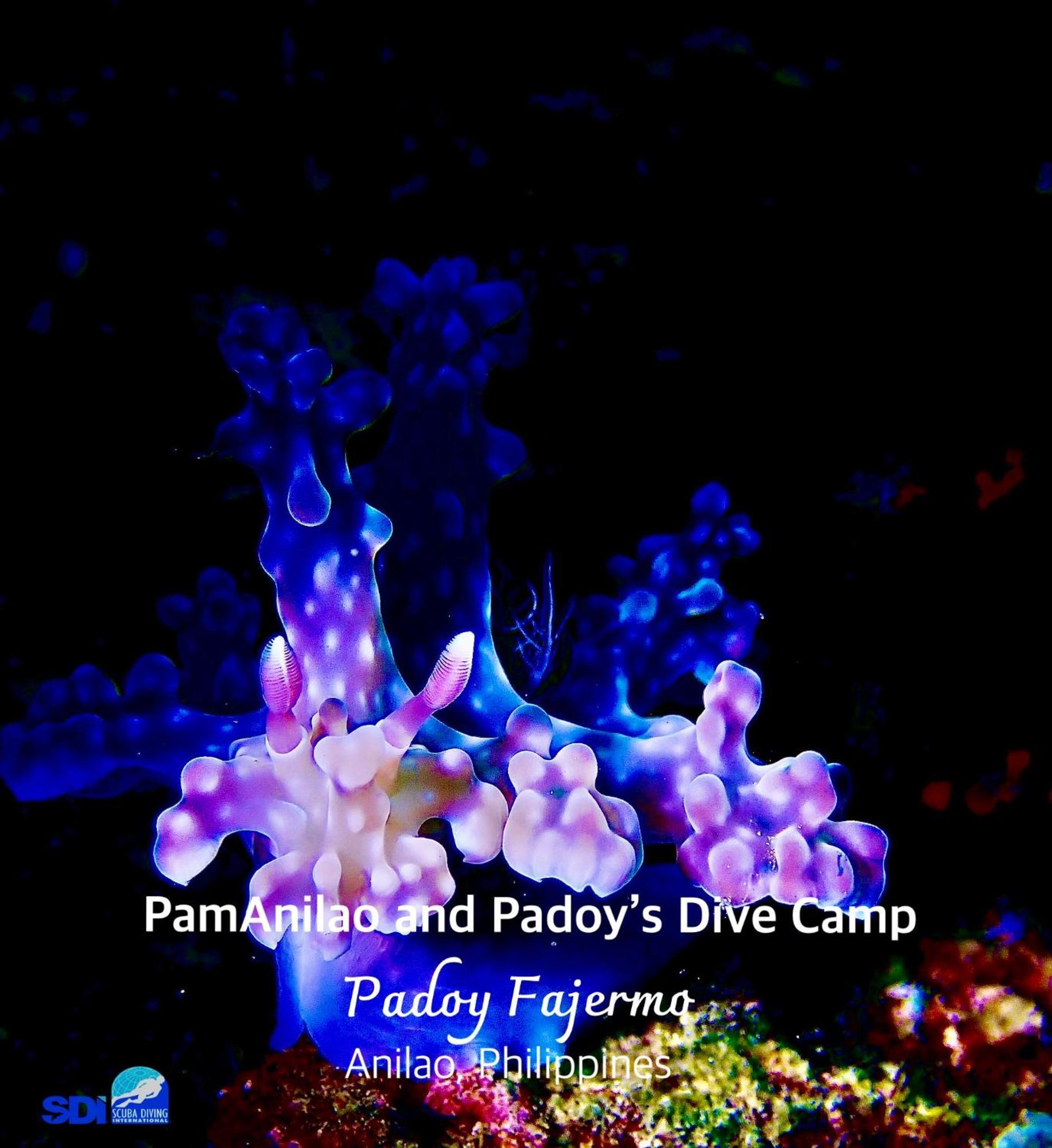 Hotel Pamanilao And Padoy'S Dive Camp Batangas Esterno foto