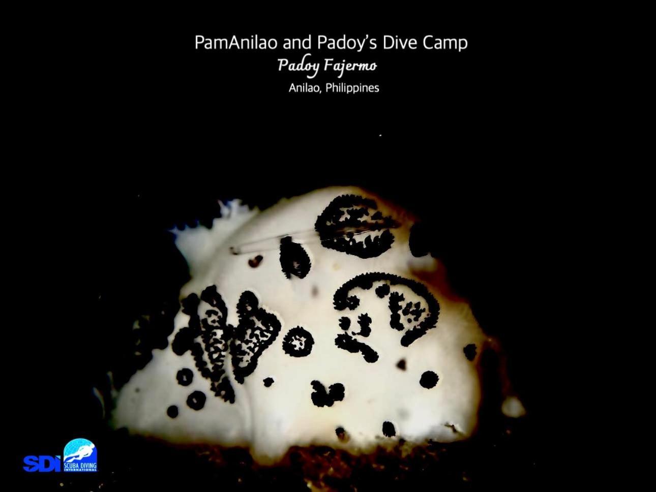 Hotel Pamanilao And Padoy'S Dive Camp Batangas Esterno foto