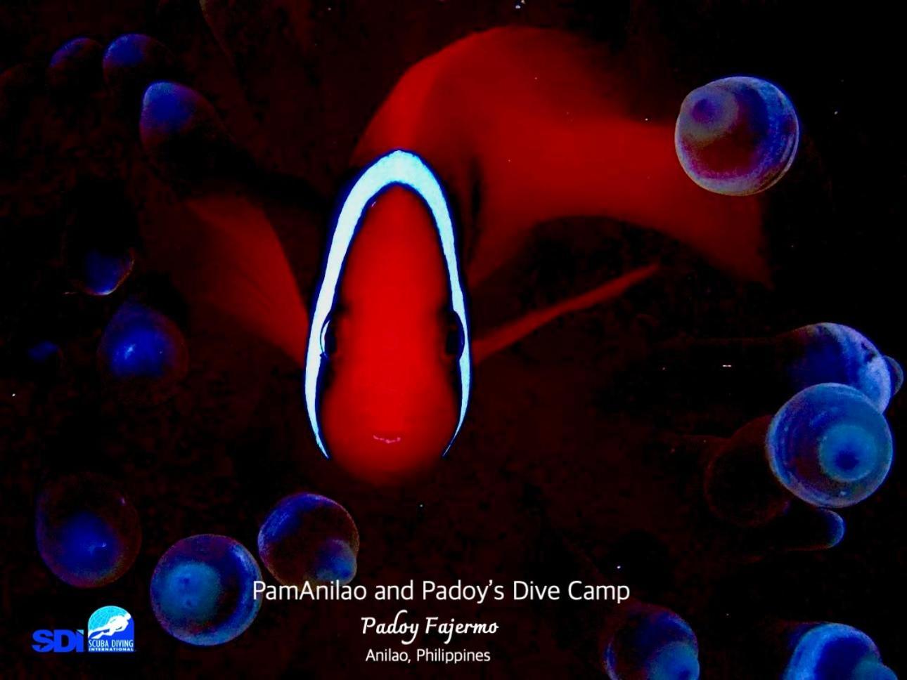 Hotel Pamanilao And Padoy'S Dive Camp Batangas Esterno foto