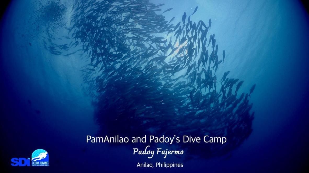 Hotel Pamanilao And Padoy'S Dive Camp Batangas Esterno foto